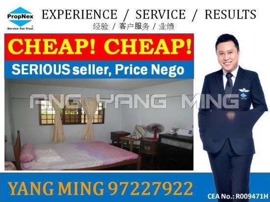 Blk 403 Pandan Gardens (Jurong East), HDB 5 Rooms #106976462